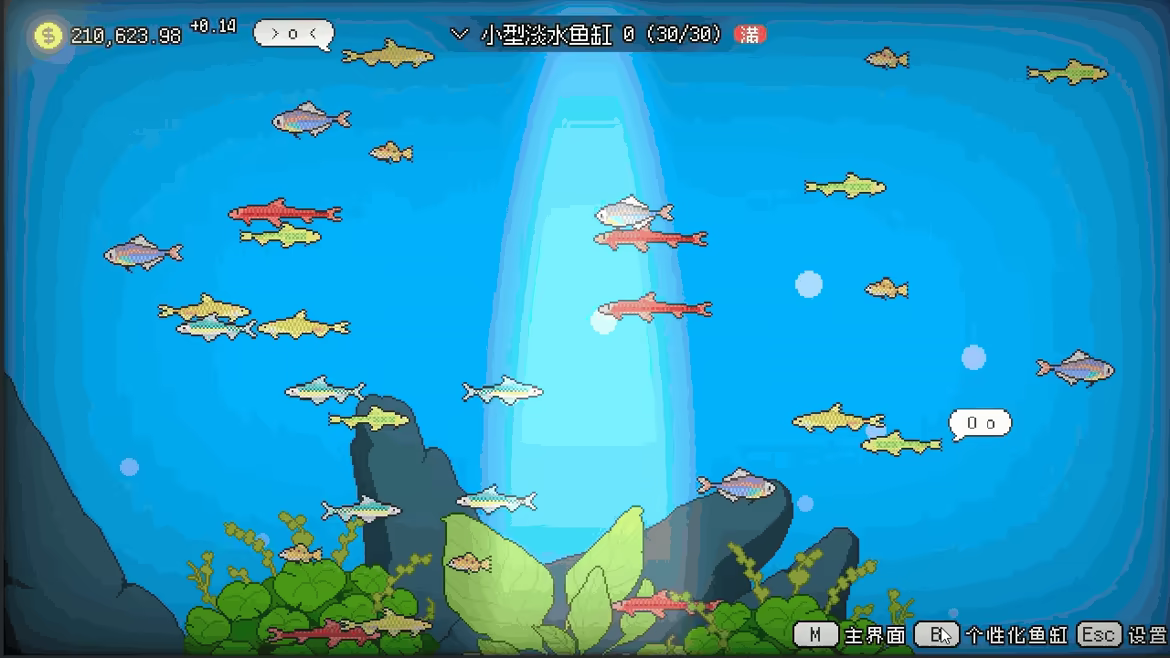 Fishful Days video 4