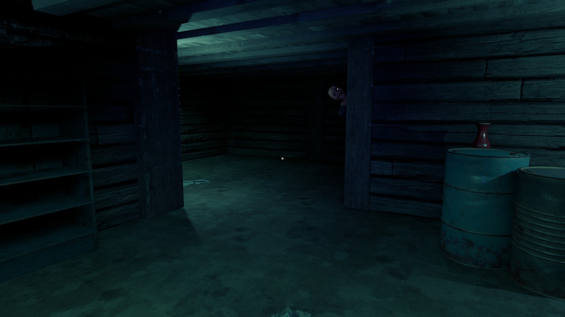 The Reflection screenshot #6