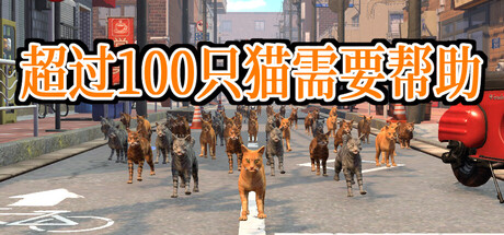 超过100只猫需要帮助