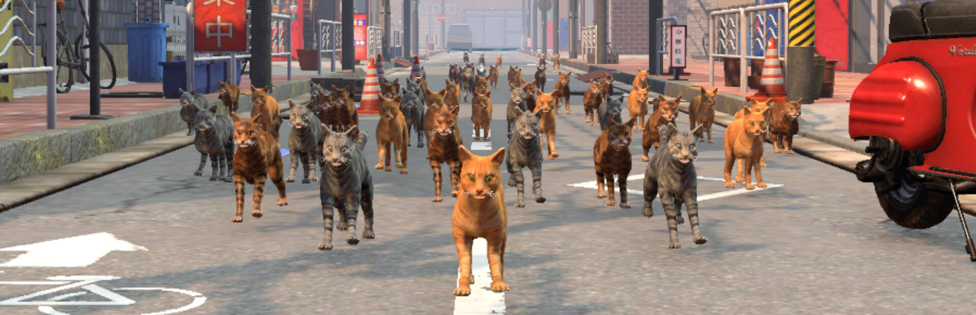 Rescue Over 100 Town Cats