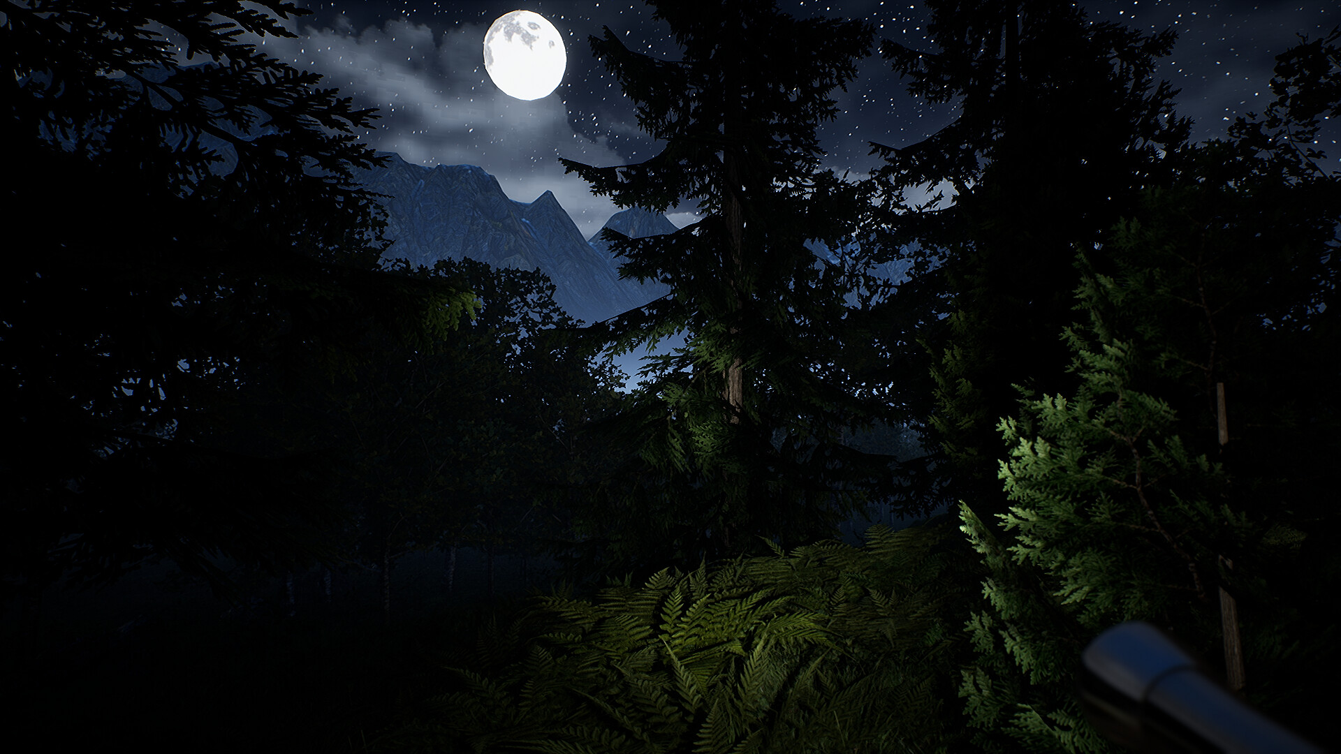 Campfire: Night One screenshot #12