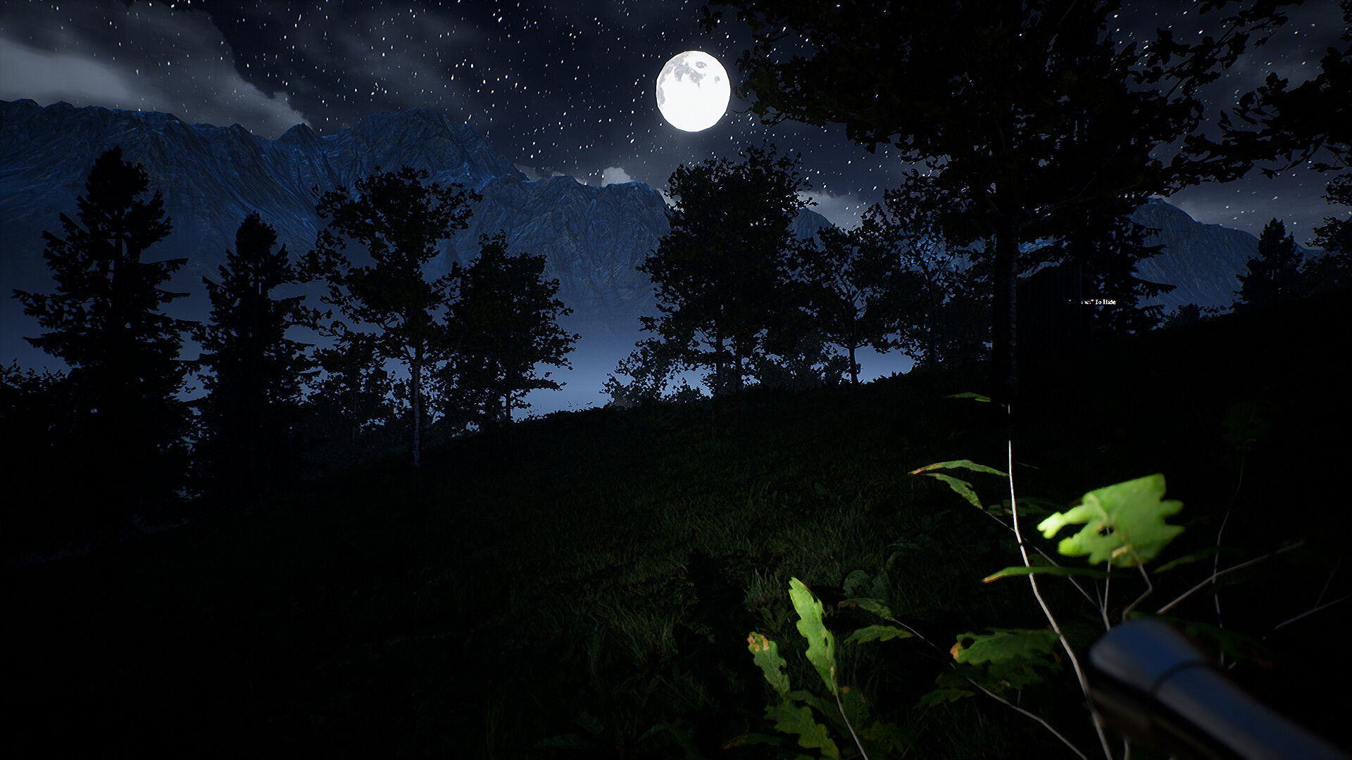 Campfire: Night One screenshot 1