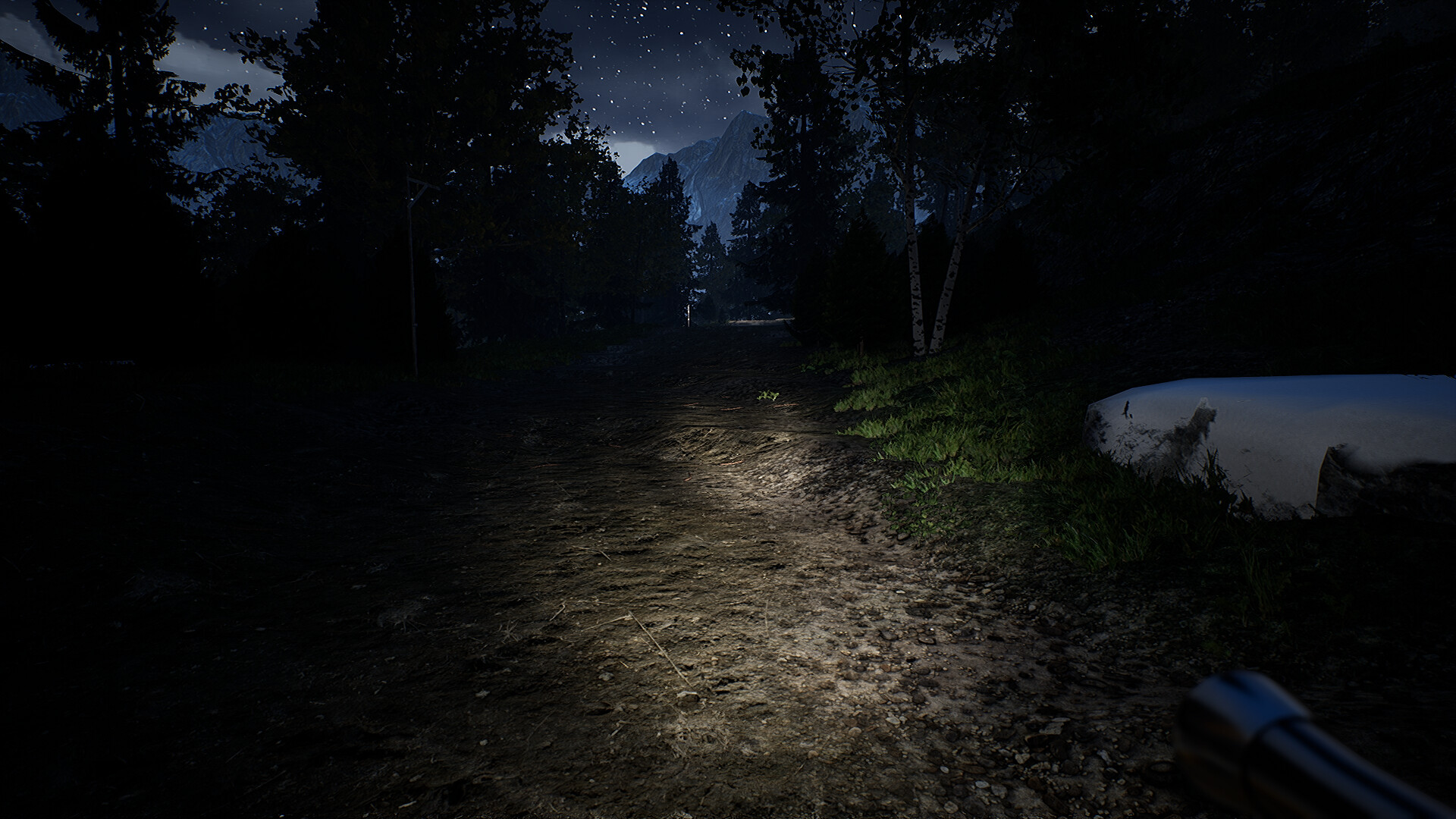 Campfire: Night One screenshot #11