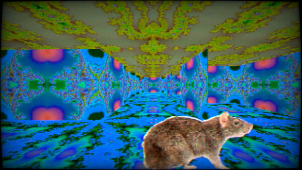 Screenshot media