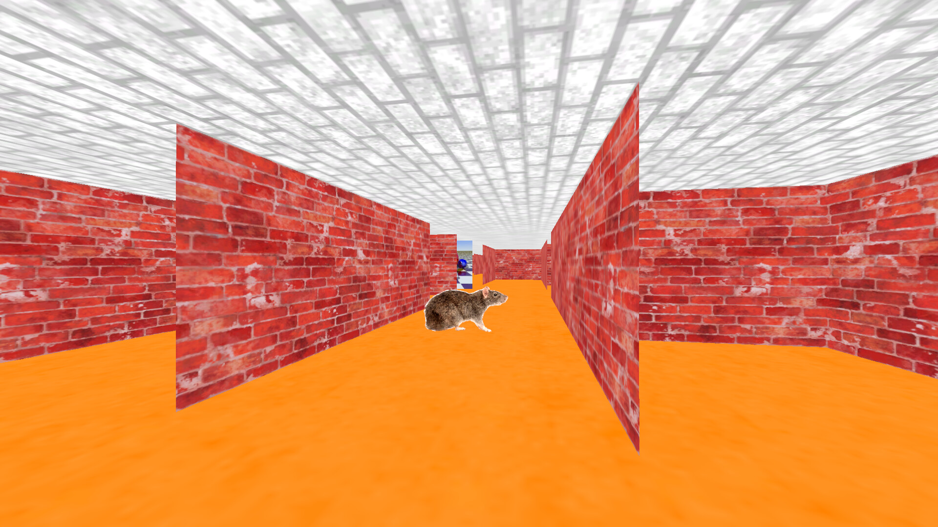 3D Maze 95 screenshot #2