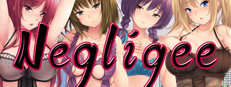 Negligee cover