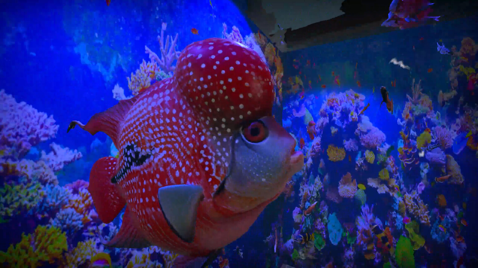 Aquarist - Asian Fish DLC Featured Screenshot #1