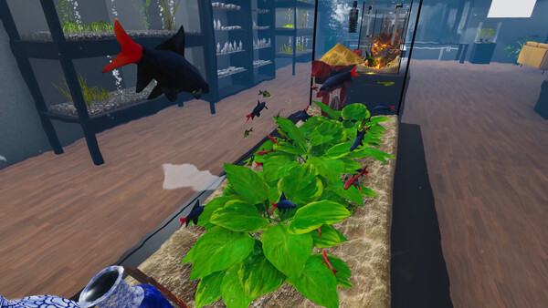Aquarist - Asian Fish DLC