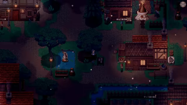 Pirate & Darkmage video 1