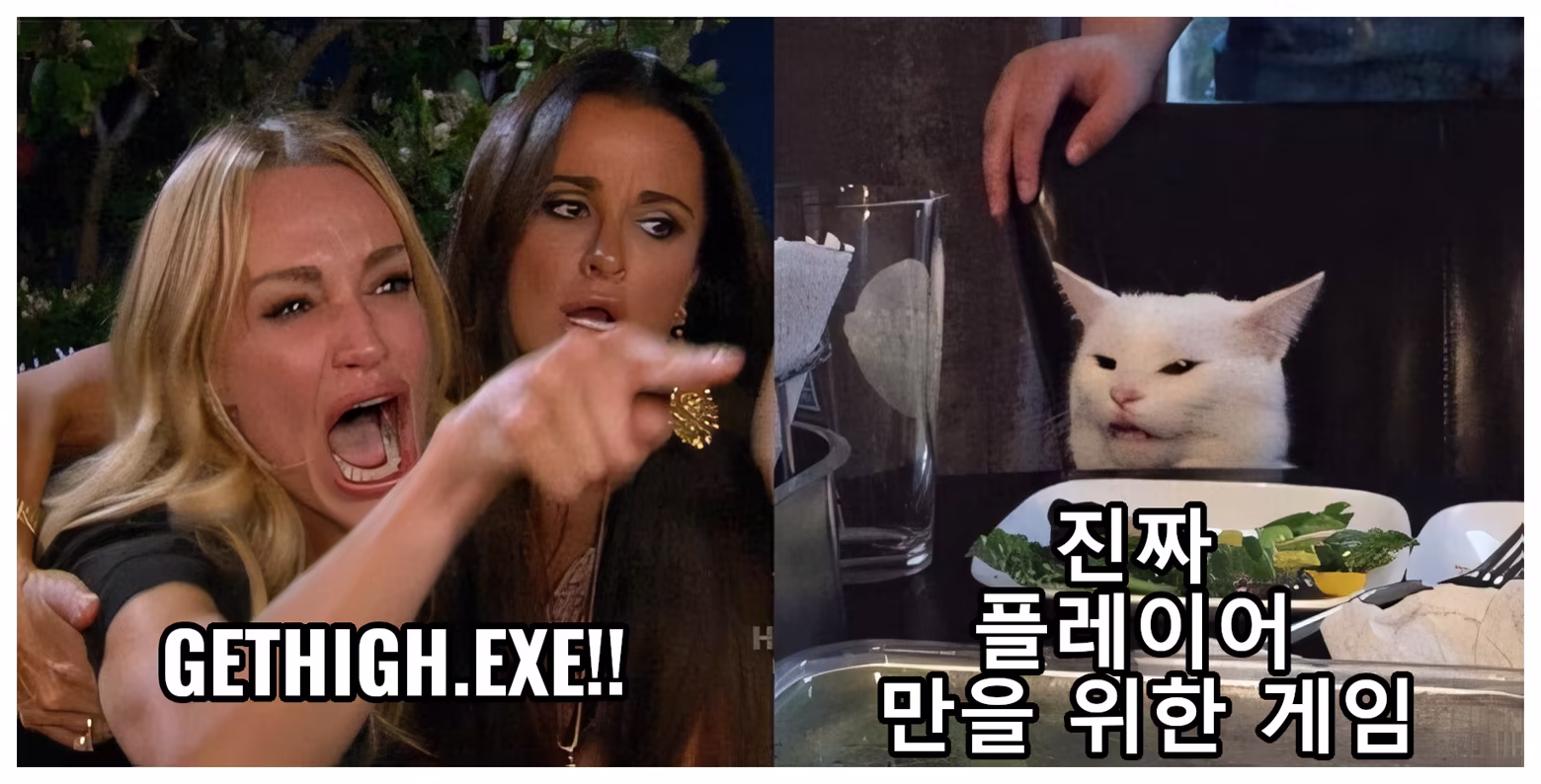Woman yelling at a cat - Woman: Nobody beats GetHigh.EXE, Cat: Only Great Gamers Finish it