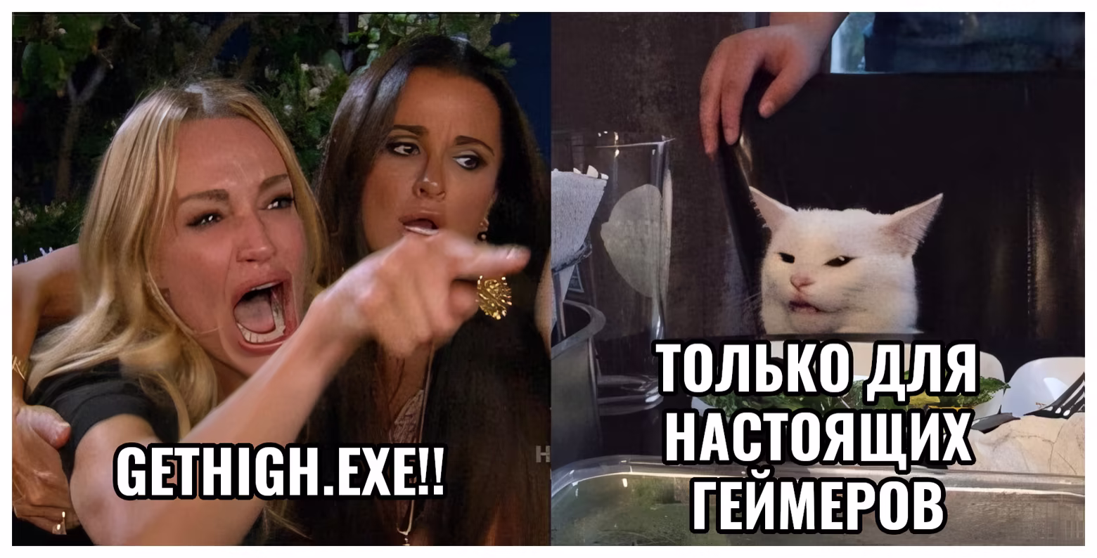 Woman yelling at a cat - Woman: Nobody beats GetHigh.EXE, Cat: Only Great Gamers Finish it
