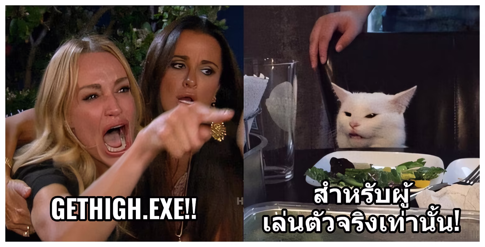 Woman yelling at a cat - Woman: Nobody beats GetHigh.EXE, Cat: Only Great Gamers Finish it