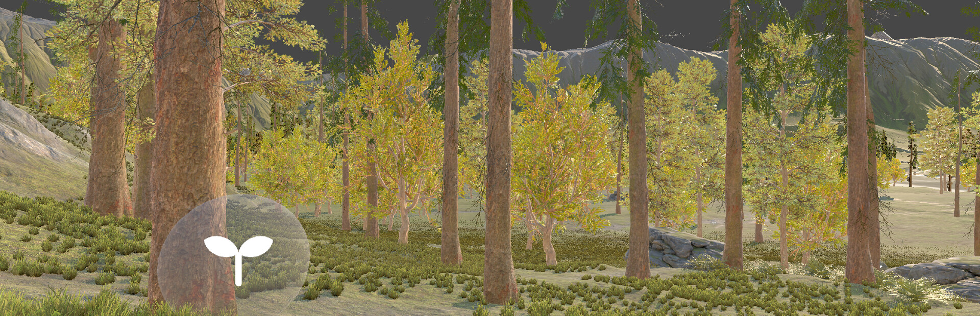 Qualial Nature