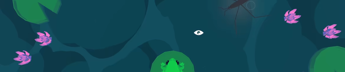 Focus Froggy video 6