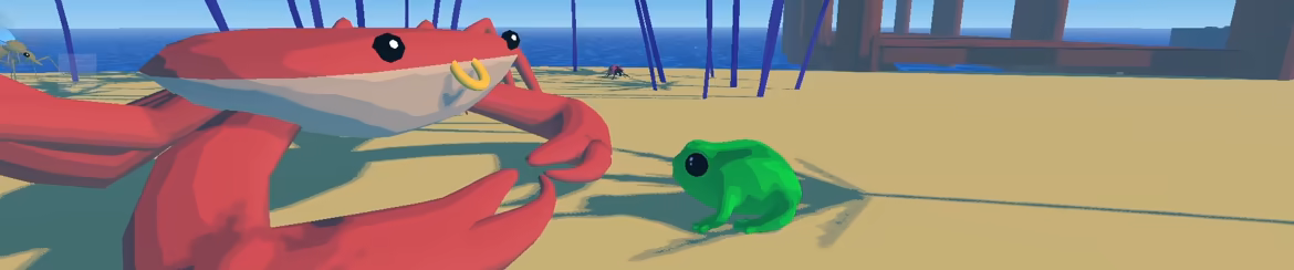 Focus Froggy video 4