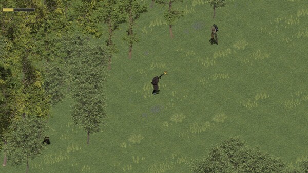 IMRYfor windows and Linux 1