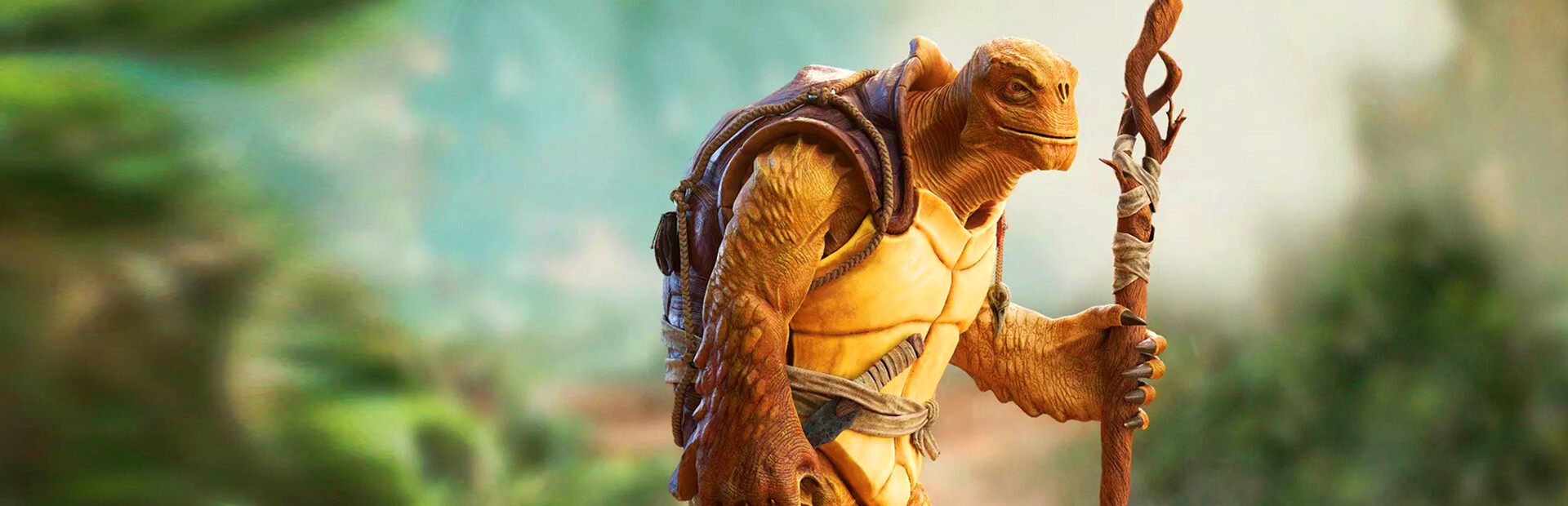 Catch the Turtle