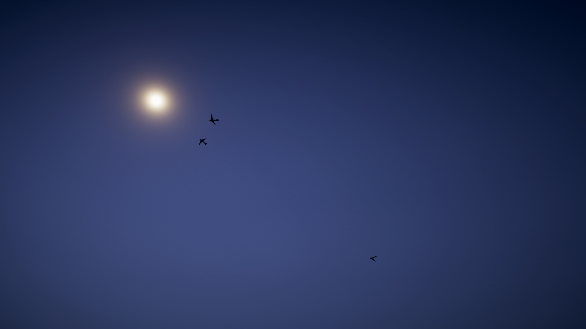 Last Signal screenshot 17