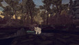 Screenshot #7