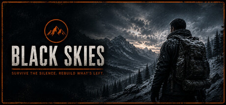 Black Skies cover