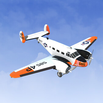 RealFlight Evolution - 2026 Year Content Pass screenshot 1