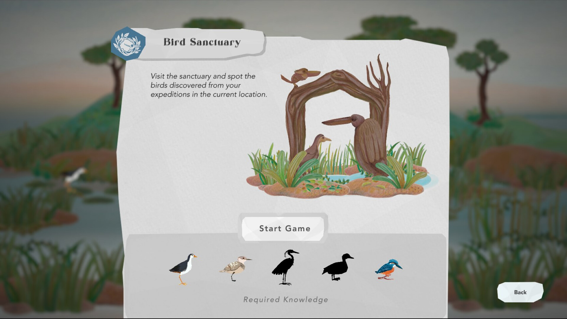 Junior Birder Adventure screenshot #10