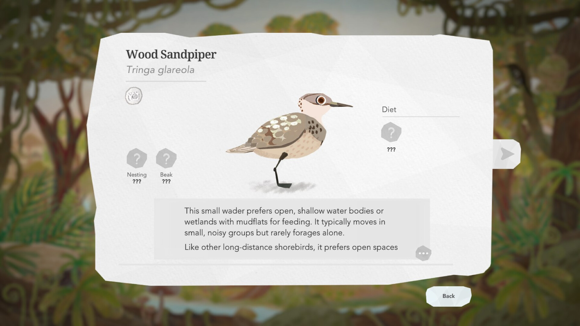 Junior Birder Adventure screenshot #13