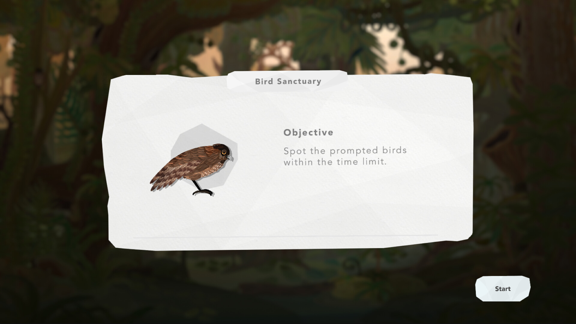 Junior Birder Adventure screenshot