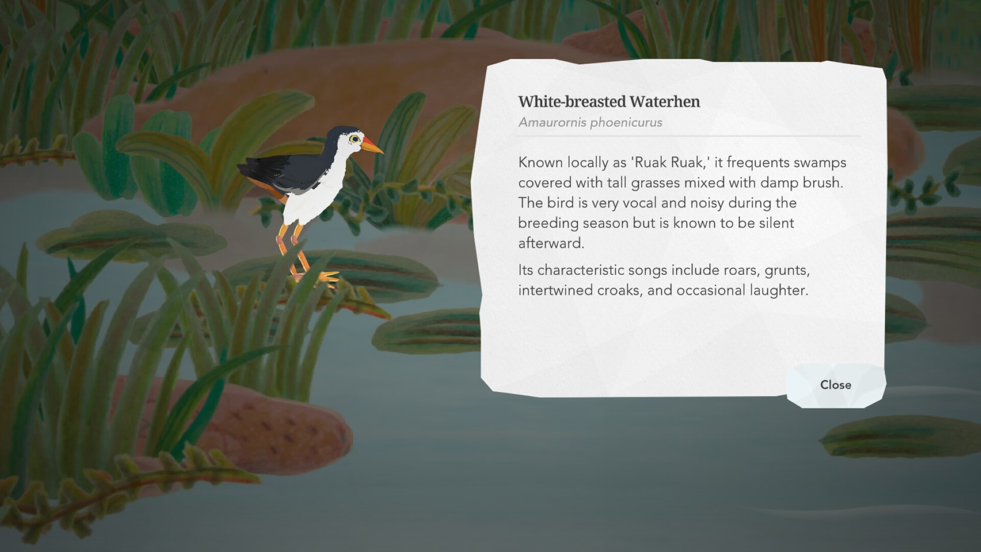 Junior Birder Adventure screenshot #11