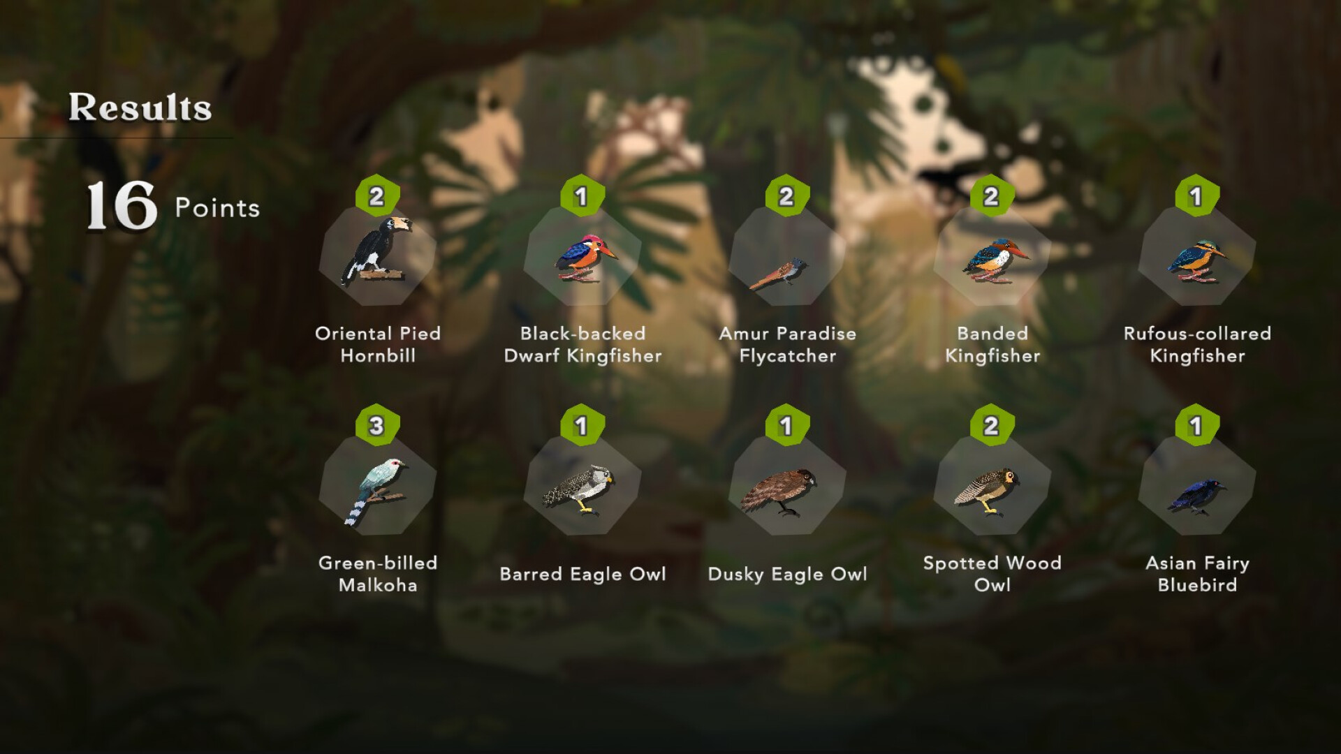 Junior Birder Adventure screenshot #9