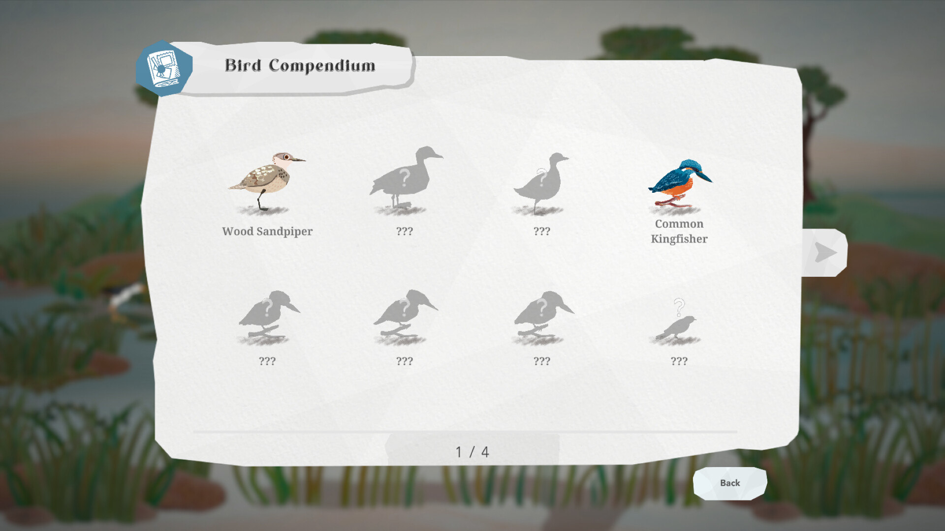 Junior Birder Adventure screenshot #16