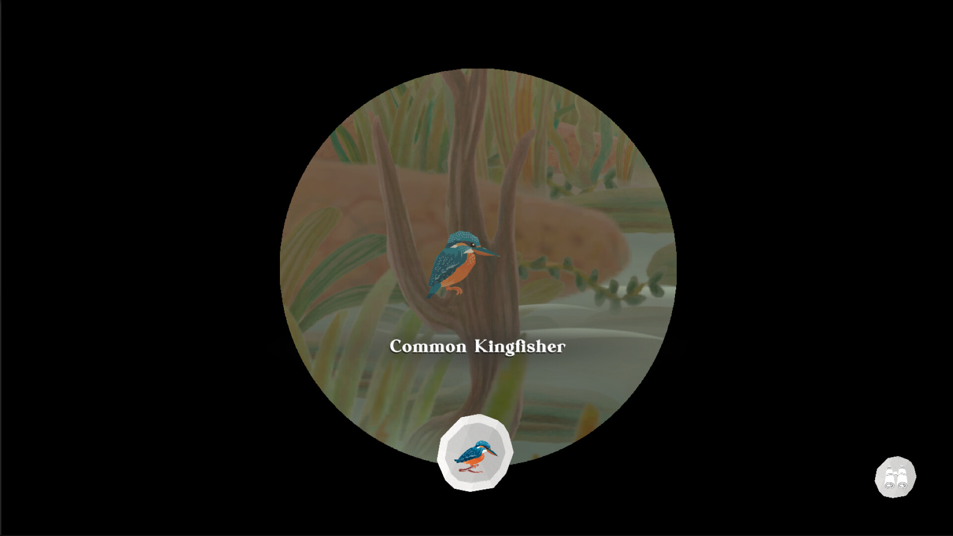 Junior Birder Adventure screenshot