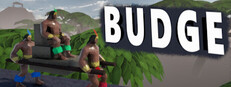 BUDGE cover