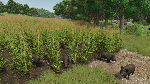 Farming Simulator 25 - Vredo Pack (DLC) (Steam) screenshot 7