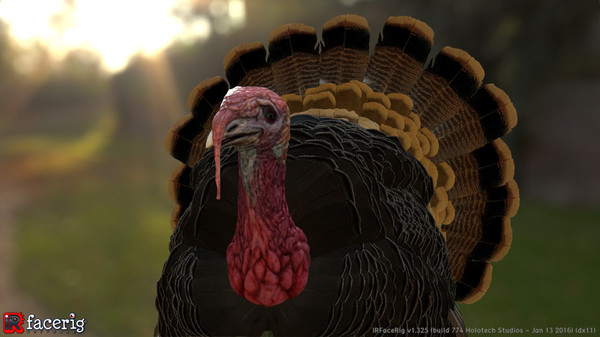 IRFaceRig Real Turkey screenshot 1