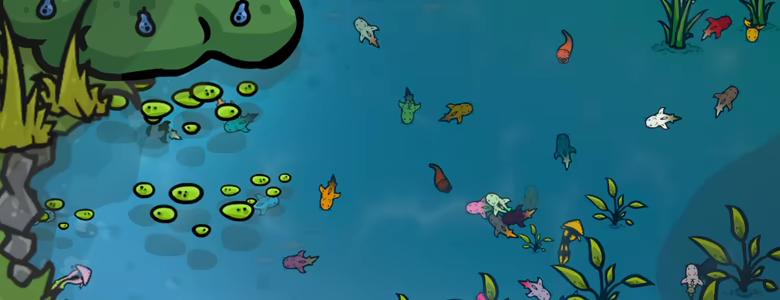 Pond Keeper video 3