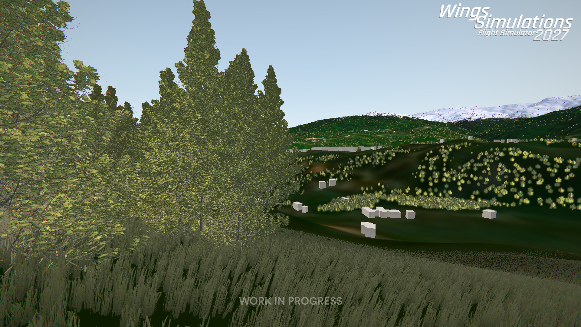 WingsSimulations Flight Simulator 2027 screenshot #2