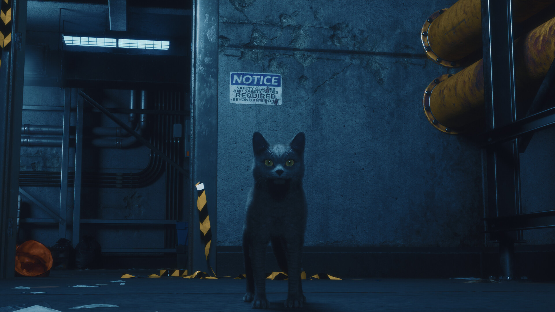 DarkRay