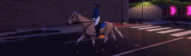TOP STEED video 4