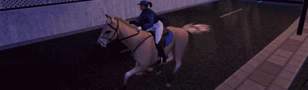 TOP STEED video 2