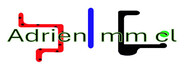 Capsule media