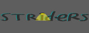 Capsule media