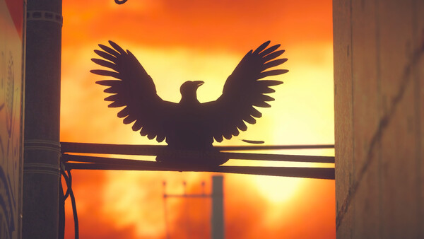 タンポポは耐える。 screenshot 4