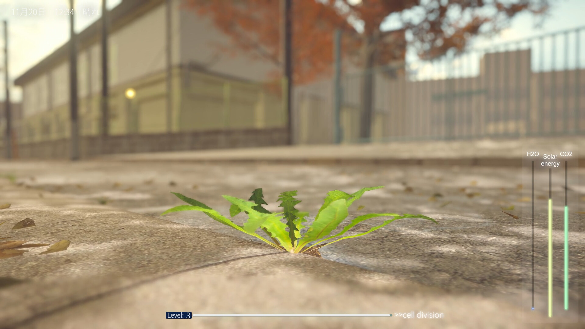 タンポポは耐える。 screenshot