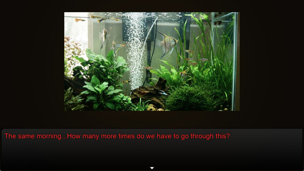 Screenshot of 8:00 AM : Still Morning