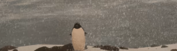 But Why? video 3