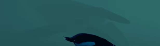 But Why? video 1