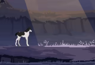 Hoofprints video 3