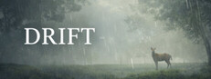 Drift cover