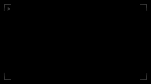 Buckshot Bunny video 2